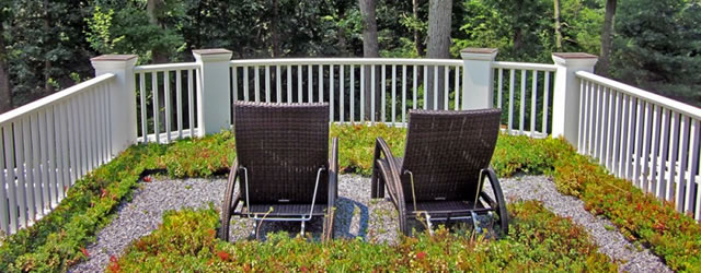 living roofs and living walls