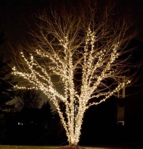 tree decorating