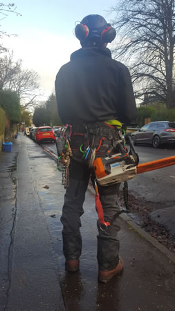 edinburgh lawn care